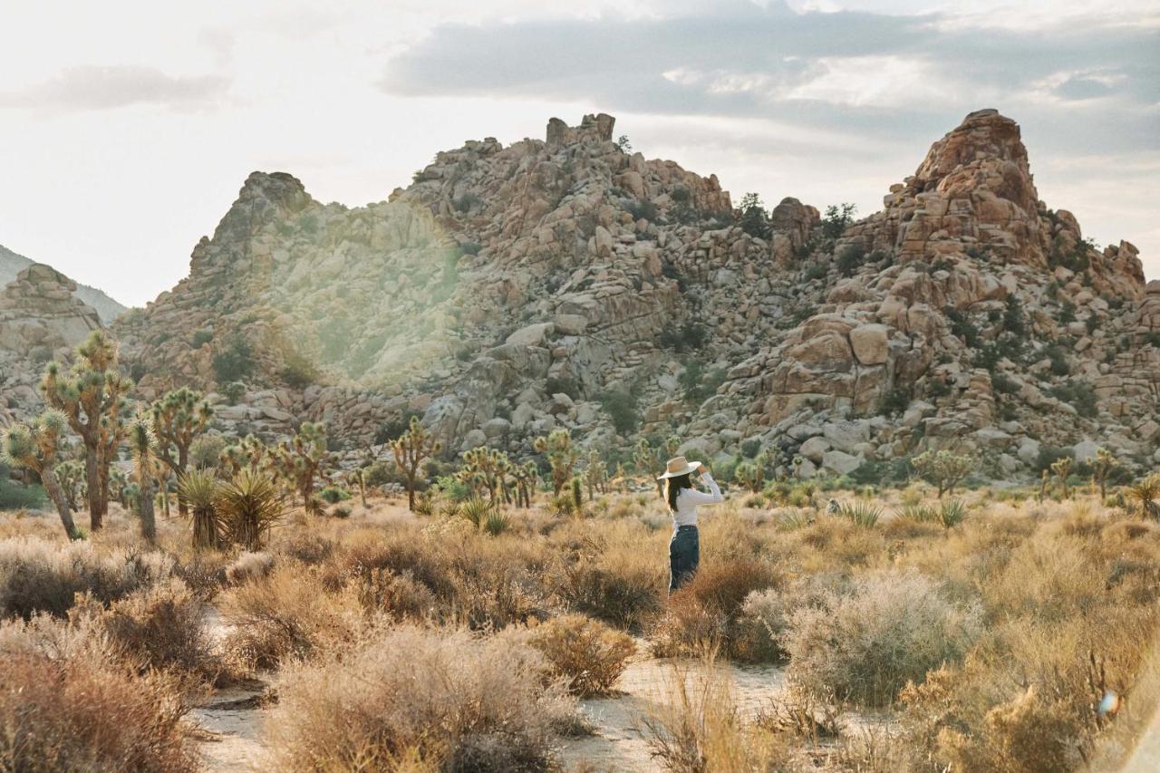 מלון יוקה ואלי Field Station Joshua Tree מראה חיצוני תמונה
